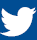 twitter icon